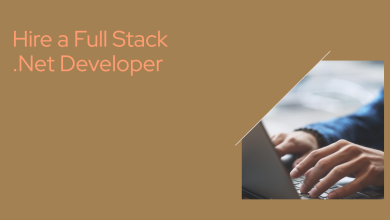 Full Stack .Net Developer