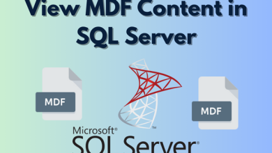 View MDF Content in SQL Server