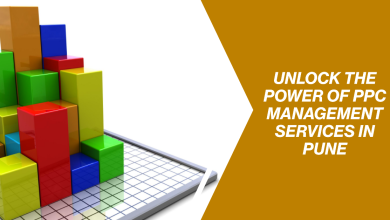 ppc management services in pune