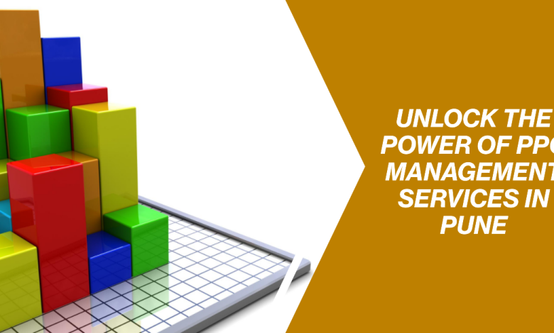 ppc management services in pune