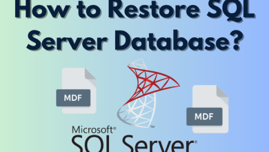restore objects in SQL Server