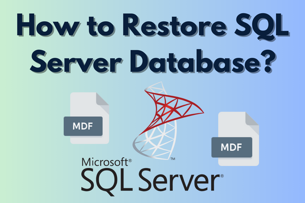 restore objects in SQL Server